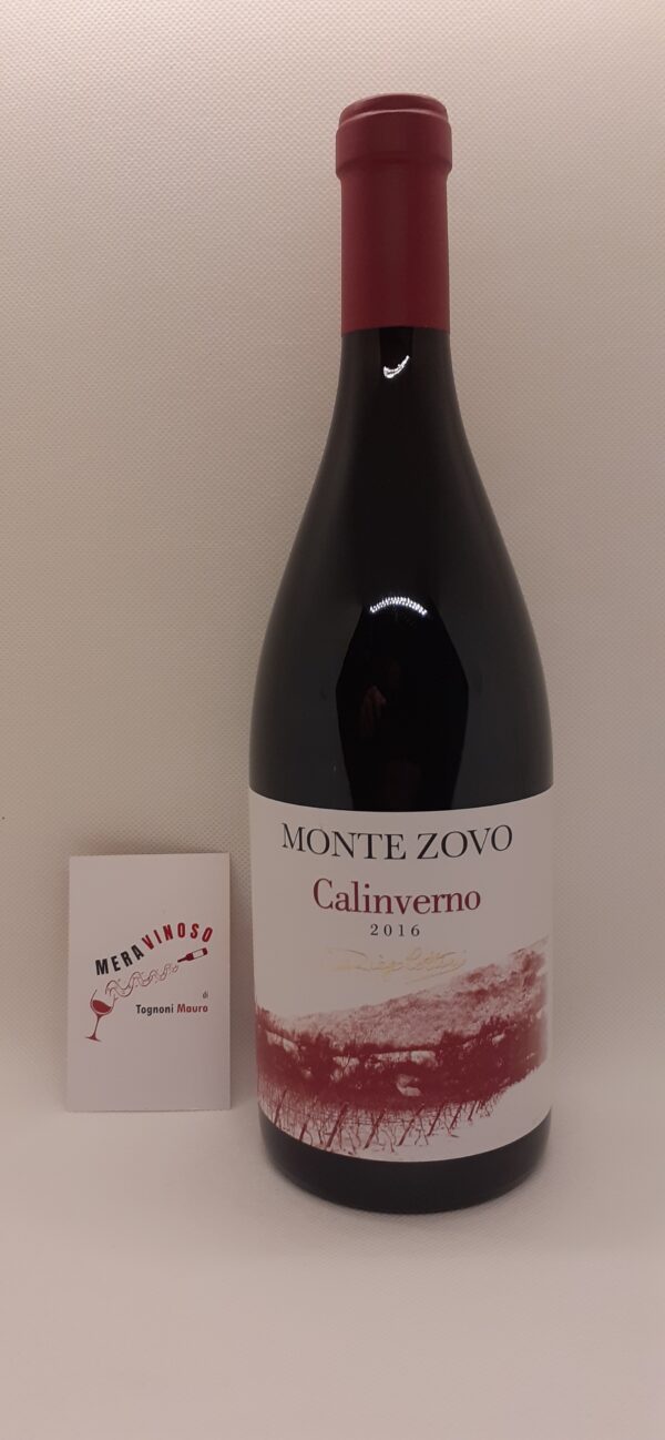 CALINVERNO Rosso Veronese 2017– MONTE ZOVO
